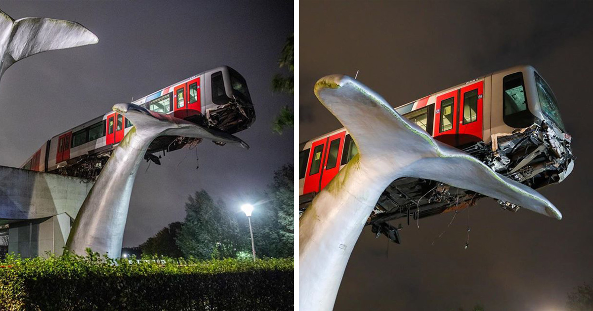 Un train fracasse une barrière et se pose sur une sculpture de baleine géante aux Pays-Bas