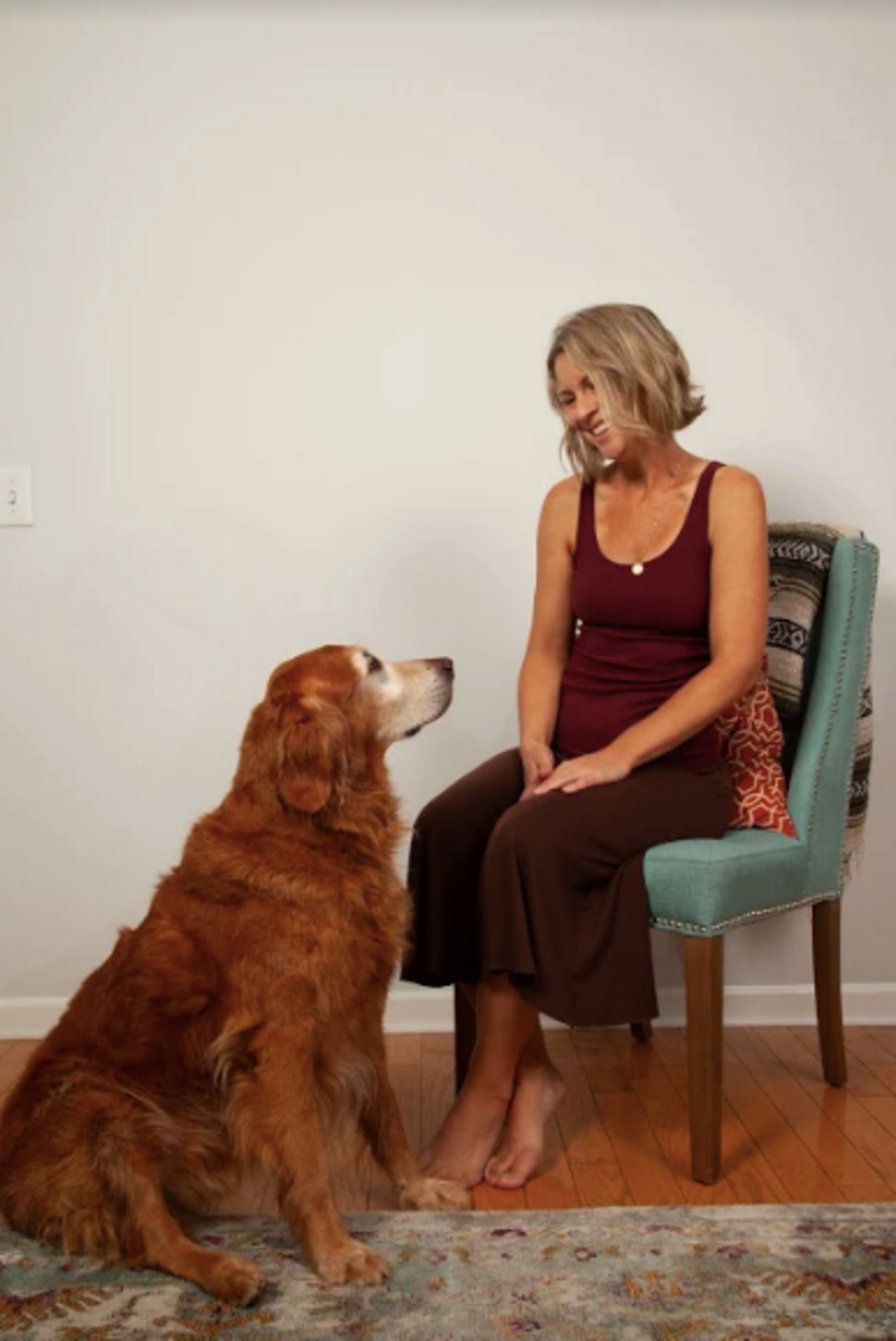 Une femme trouve la plus belle affiche de « chien perdu » qu’elle a jamais vue