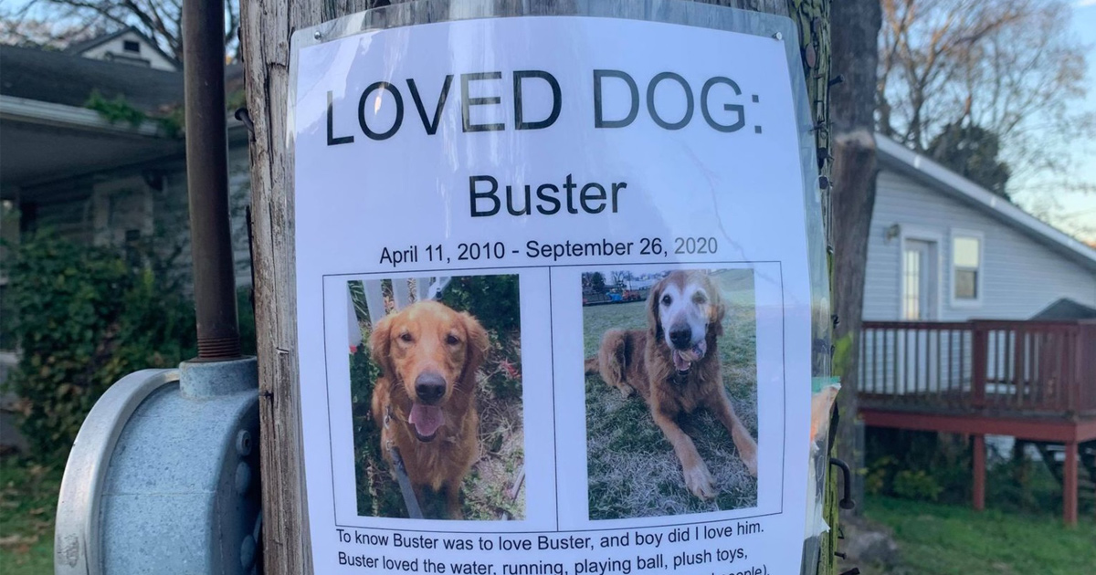 Une femme trouve la plus belle affiche de « chien perdu » qu’elle a jamais vue