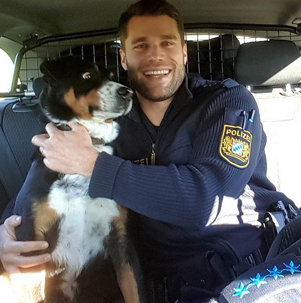 Ce chien qui s’est échappé de chez lui ne peut pas croire qu’il vient d’être « arrêté » par la police