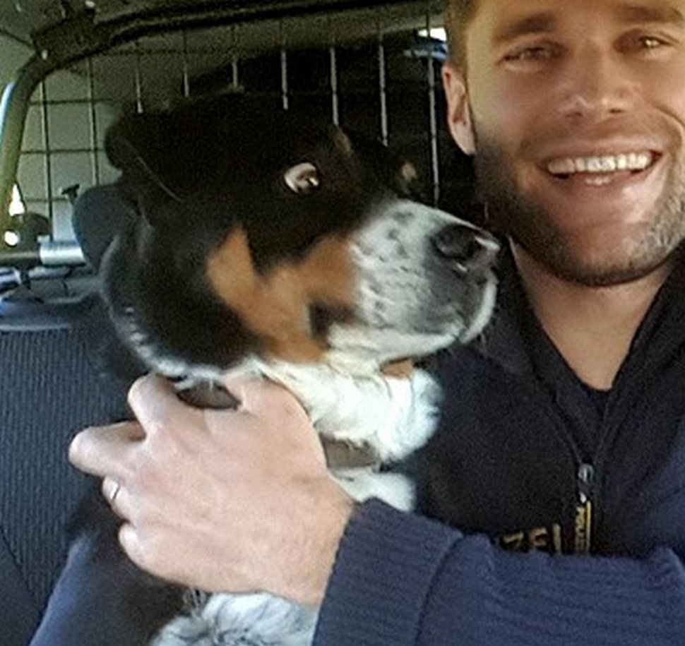 Ce chien qui s’est échappé de chez lui ne peut pas croire qu’il vient d’être « arrêté » par la police