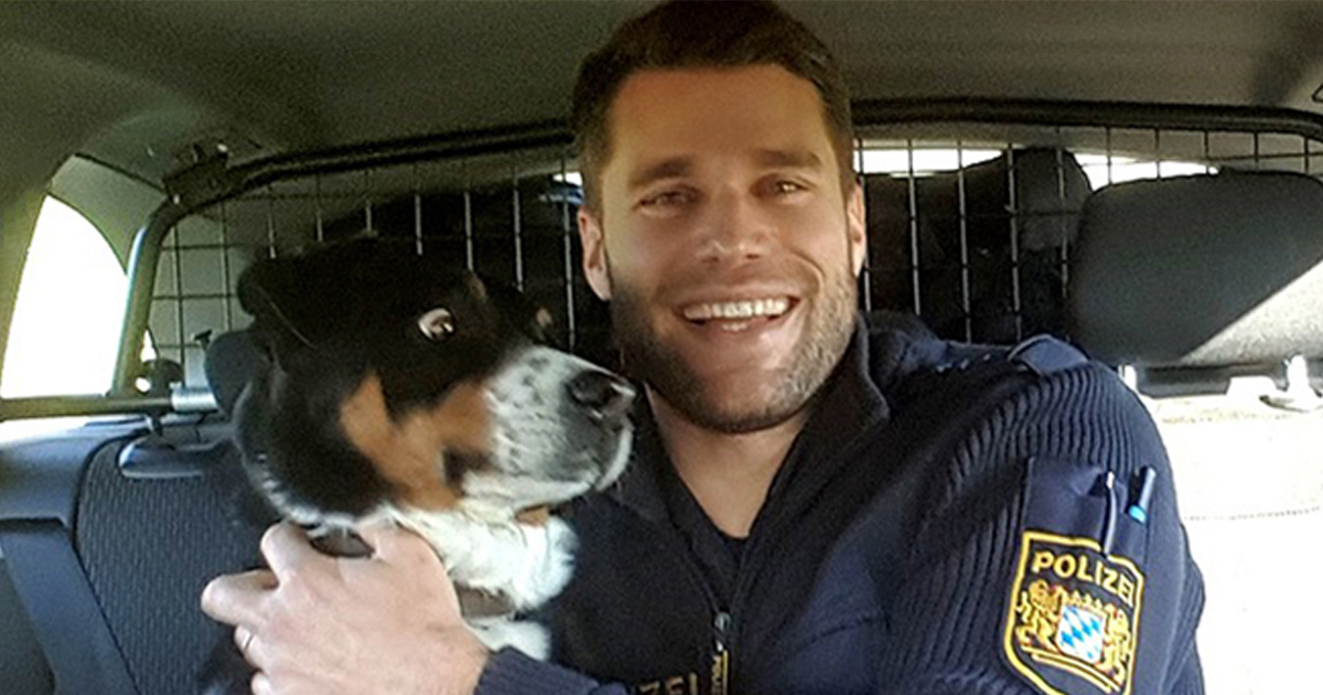 Ce chien qui s’est échappé de chez lui ne peut pas croire qu’il vient d’être « arrêté » par la police