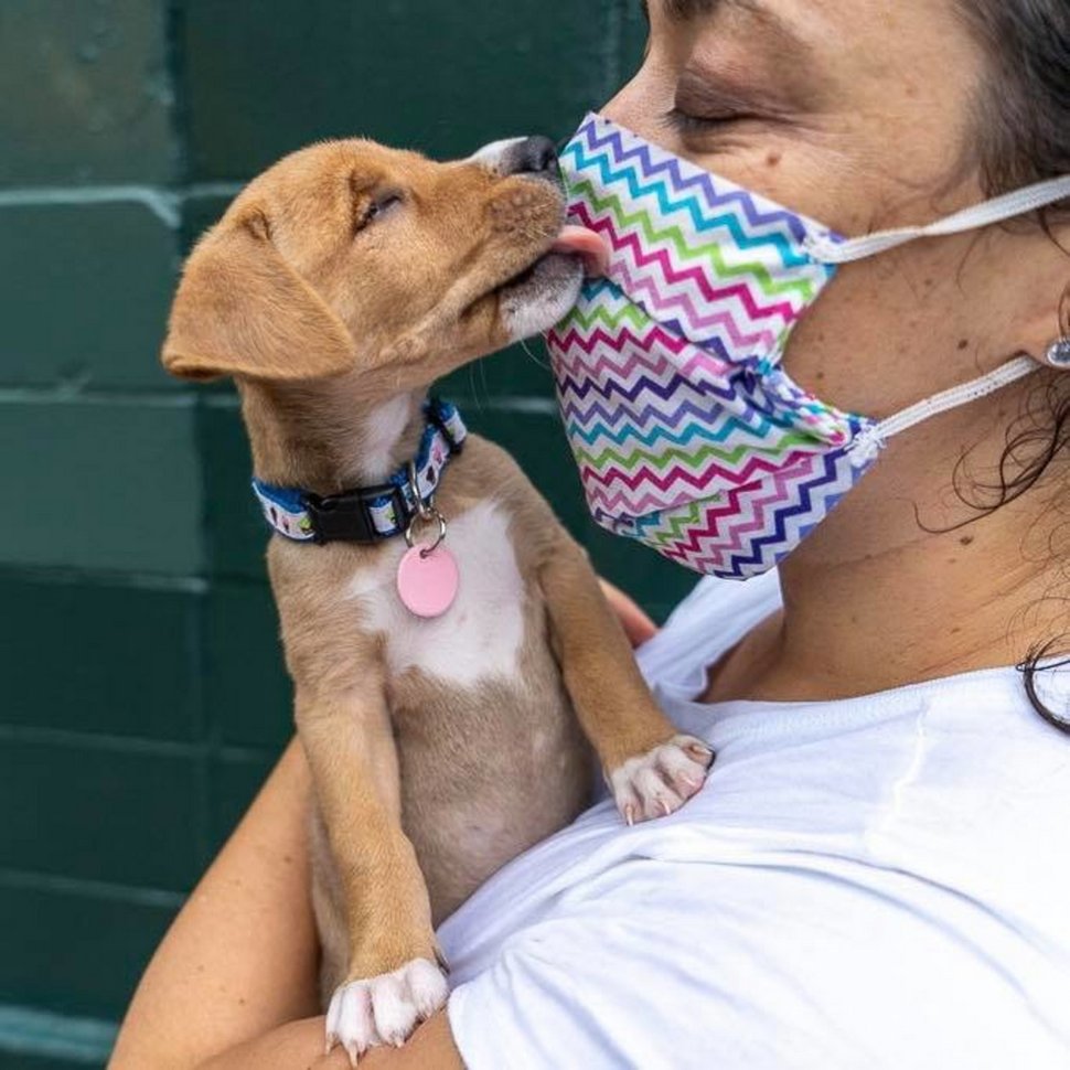 Cet adorable chiot errant est né avec les yeux plissés en permanence