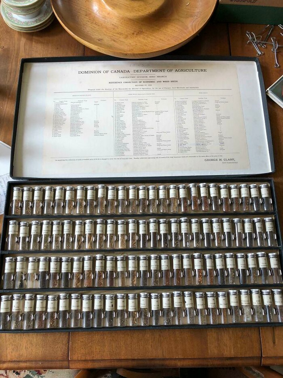 22 personnes qui ont partagé leurs collections uniques