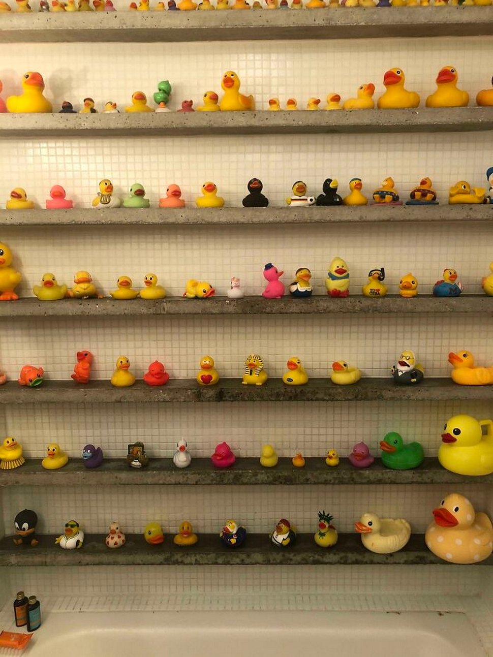 22 personnes qui ont partagé leurs collections uniques