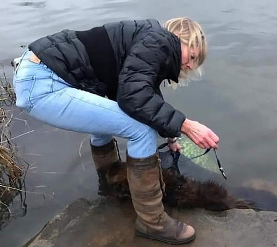 Une femme sauve une chienne qui a été attachée à une pierre et jetée dans une rivière gelée par sa propriétaire
