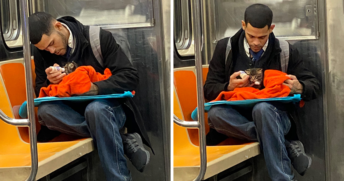 Un homme vu avec un minuscule chaton dans le métro redonne confiance aux gens en l’humanité ! Par Janvier Doyon Homme-avec-chaton-metro-gillian-rogers-00