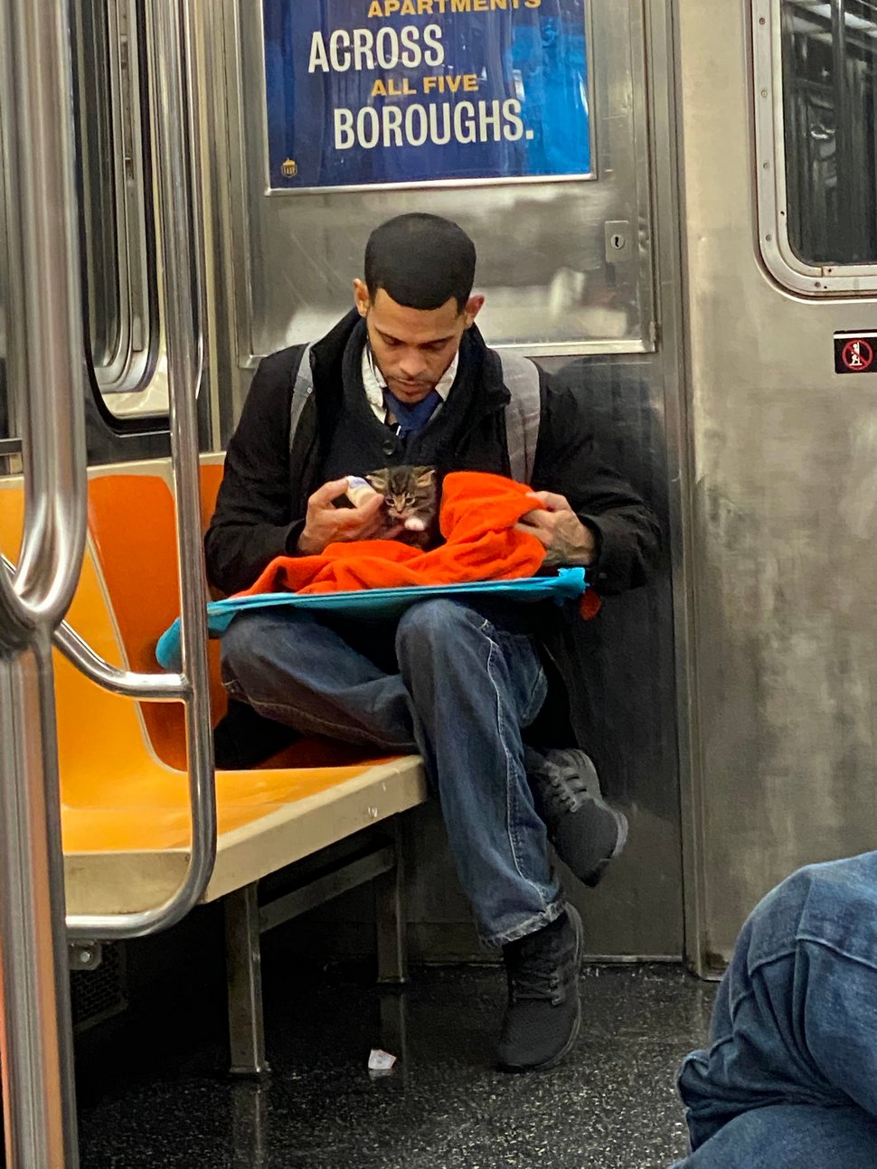 Un homme vu avec un minuscule chaton dans le métro redonne confiance aux gens en l’humanité ! Par Janvier Doyon Homme-avec-chaton-metro-gillian-rogers-001