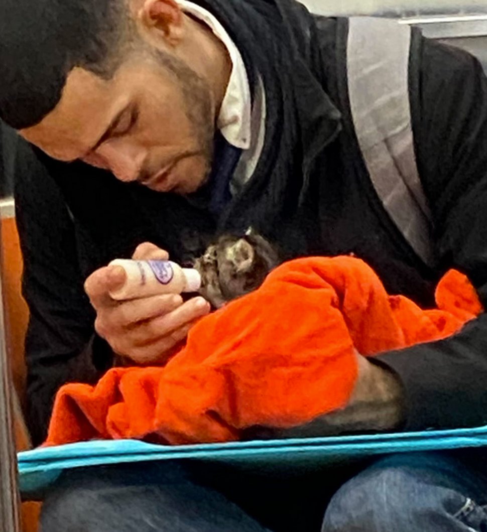 Un homme vu avec un minuscule chaton dans le métro redonne confiance aux gens en l’humanité ! Par Janvier Doyon Homme-avec-chaton-metro-gillian-rogers-004