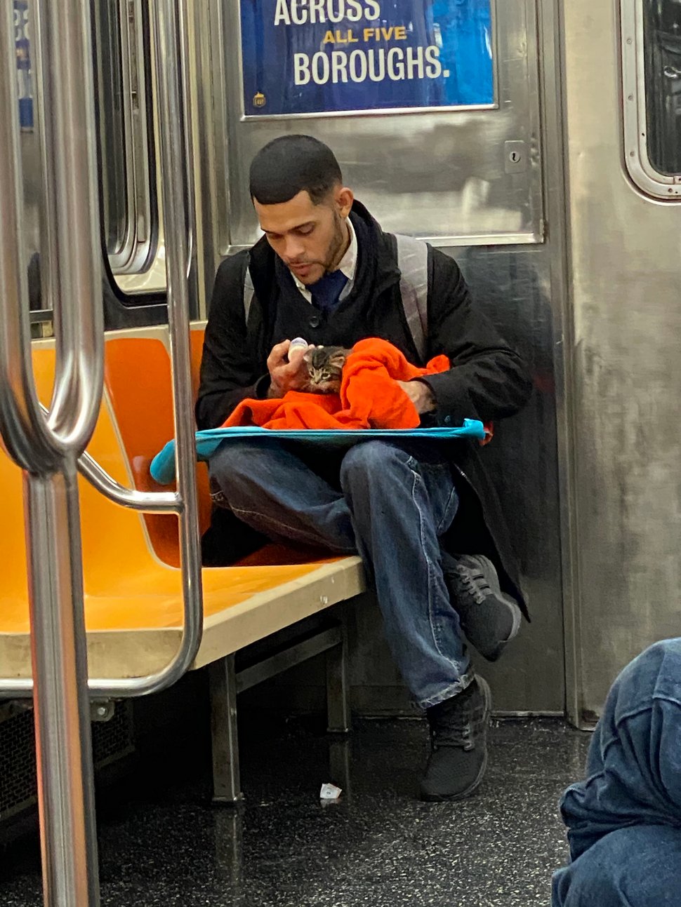 Un homme vu avec un minuscule chaton dans le métro redonne confiance aux gens en l’humanité