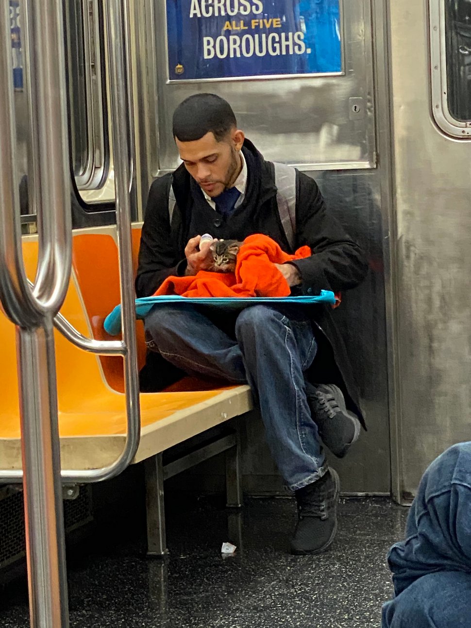 Un homme vu avec un minuscule chaton dans le métro redonne confiance aux gens en l’humanité ! Par Janvier Doyon Homme-avec-chaton-metro-gillian-rogers-005