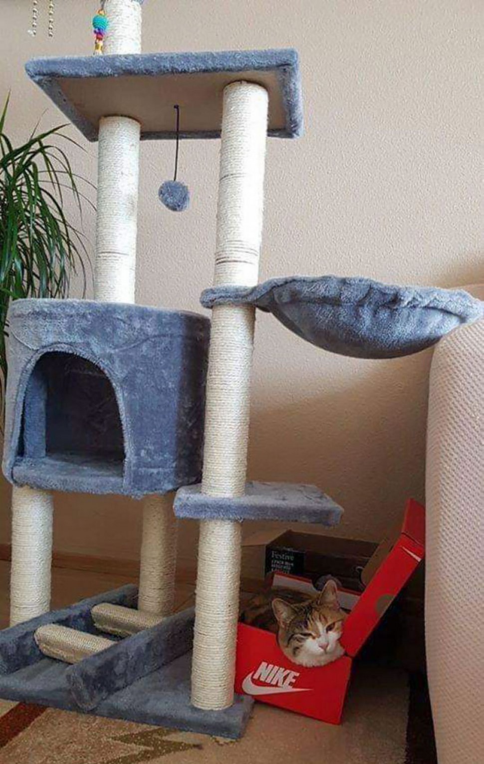 22 exemples amusants de lits de chats et de logique de chats