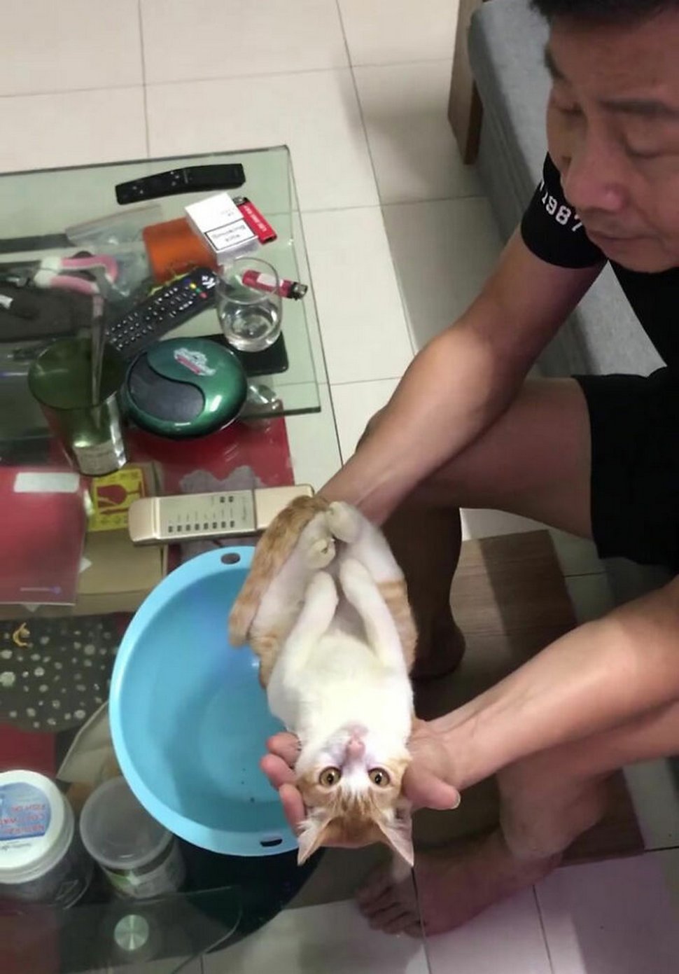 Ce grand-père montre à son fils comment donner le bain à un bébé en utilisant un chat comme exemple