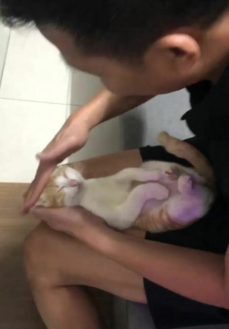 Ce grand-père montre à son fils comment donner le bain à un bébé en utilisant un chat comme exemple
