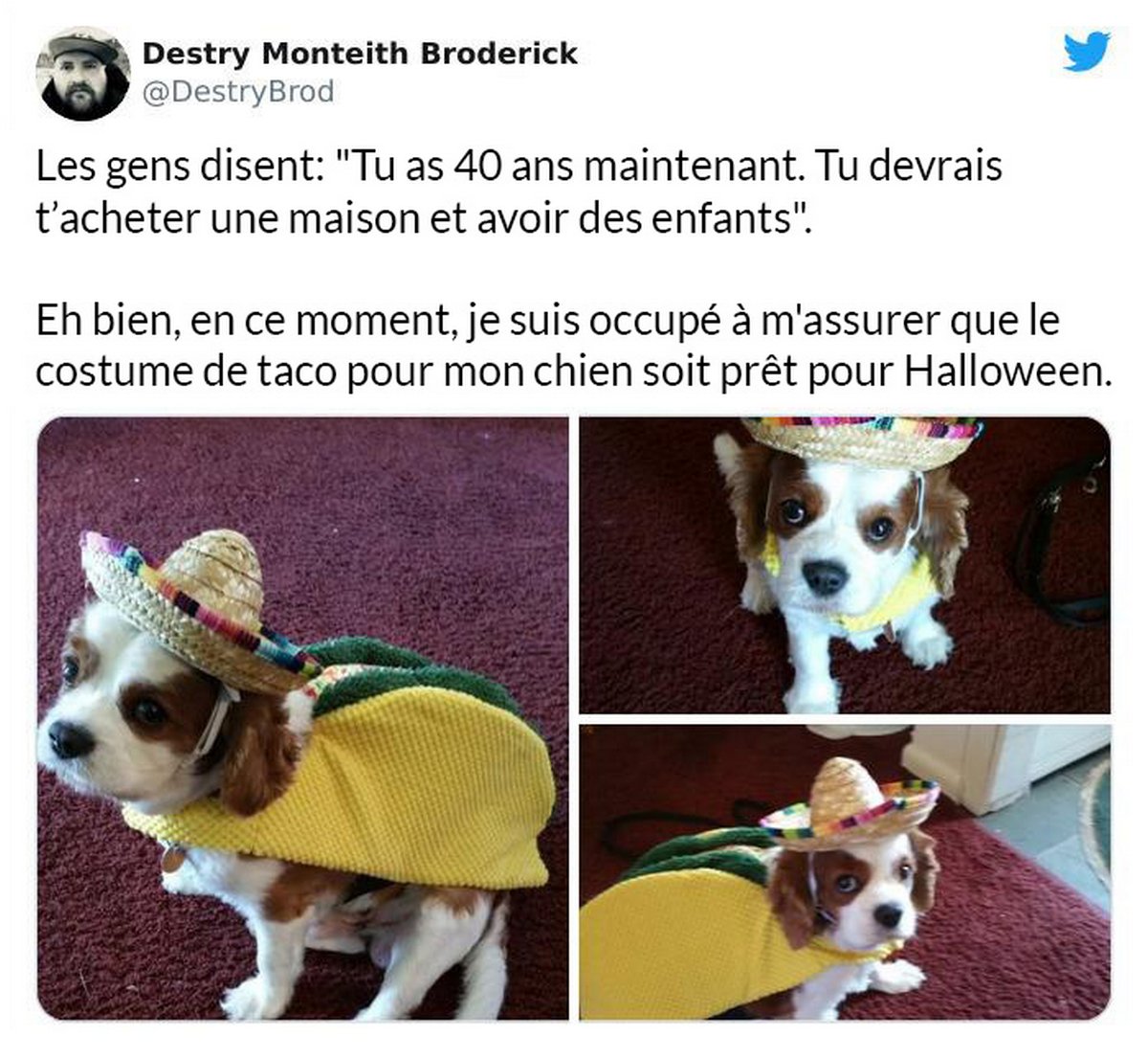 22 fois où des personnes sans enfant ont dit quelque chose d’insolent