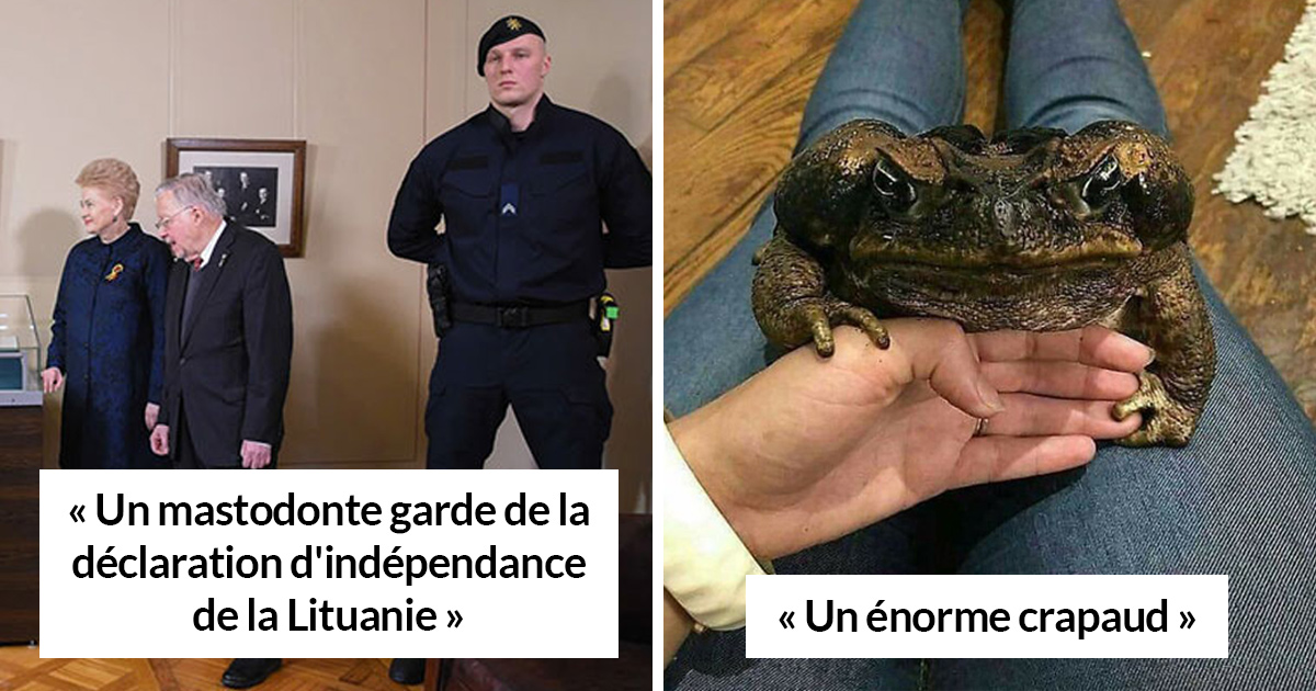 Des gens partagent les choses les plus grosses qu’elles ont vues dans cette communauté en ligne