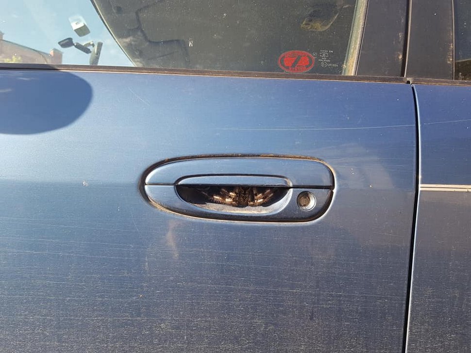 Une femme trouve une énorme araignée cachée sous la poignée de porte de sa voiture