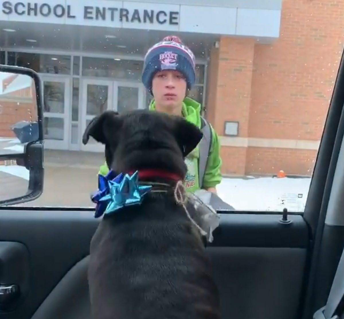 Une famille fait une surprise à son garçon à l’école et le réunit avec sa chienne perdue