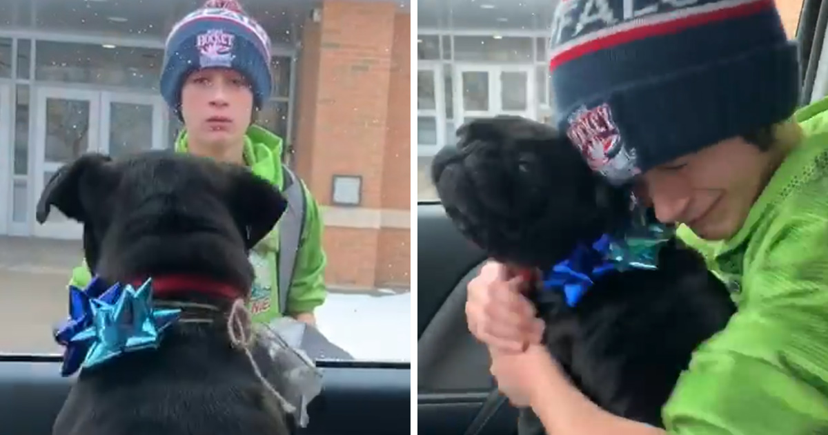Une famille fait une surprise à son garçon à l’école et le réunit avec sa chienne perdue