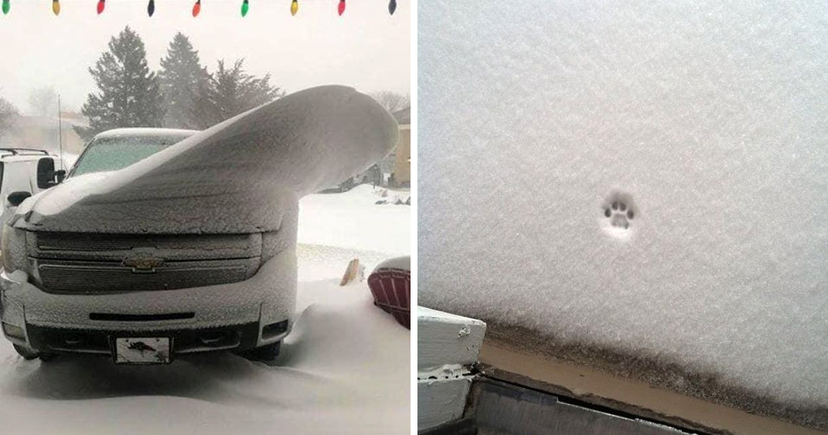 22 fois où des gens ont été si émerveillés par la neige qu’ils ont décidé de la photographier