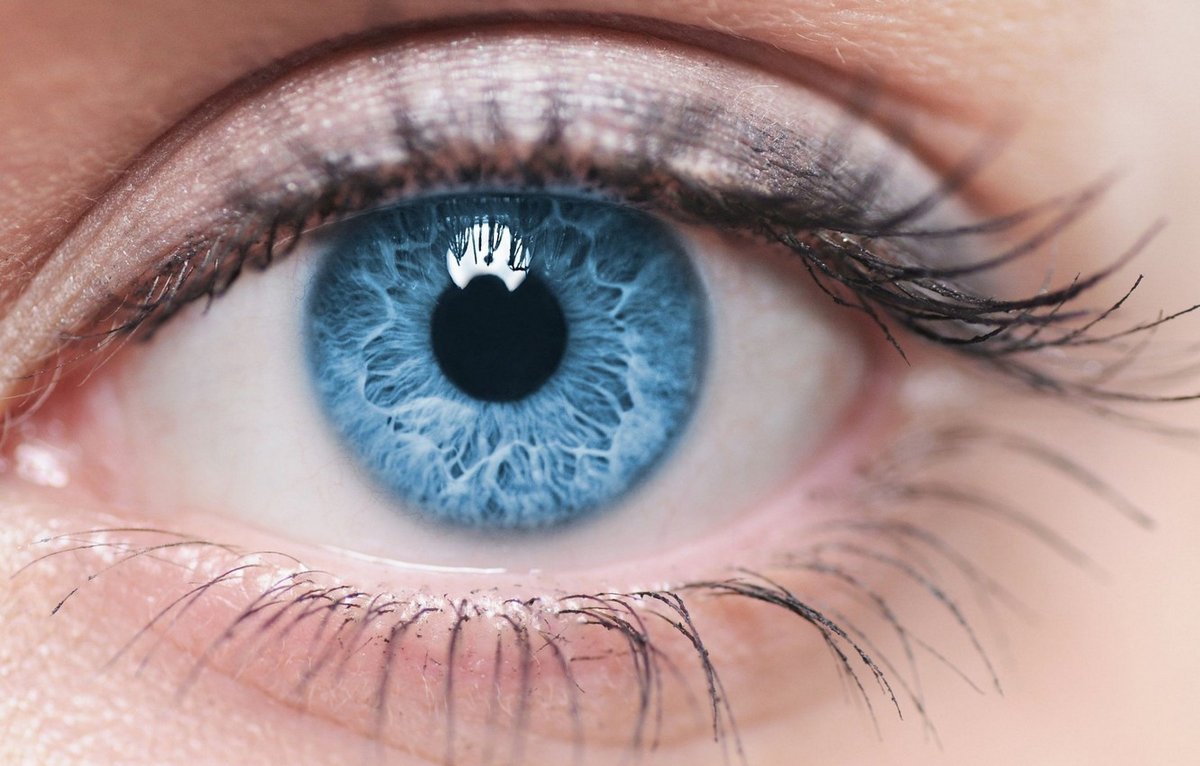 Toutes les personnes aux yeux bleus sont liées à un seul ancêtre qui a vécu il y a 6 000 ans