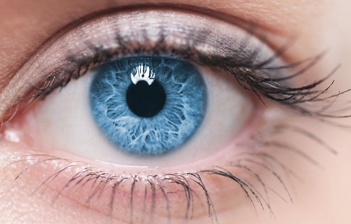 Toutes les personnes aux yeux bleus sont liées à un seul ancêtre qui a vécu il y a 6 000 ans