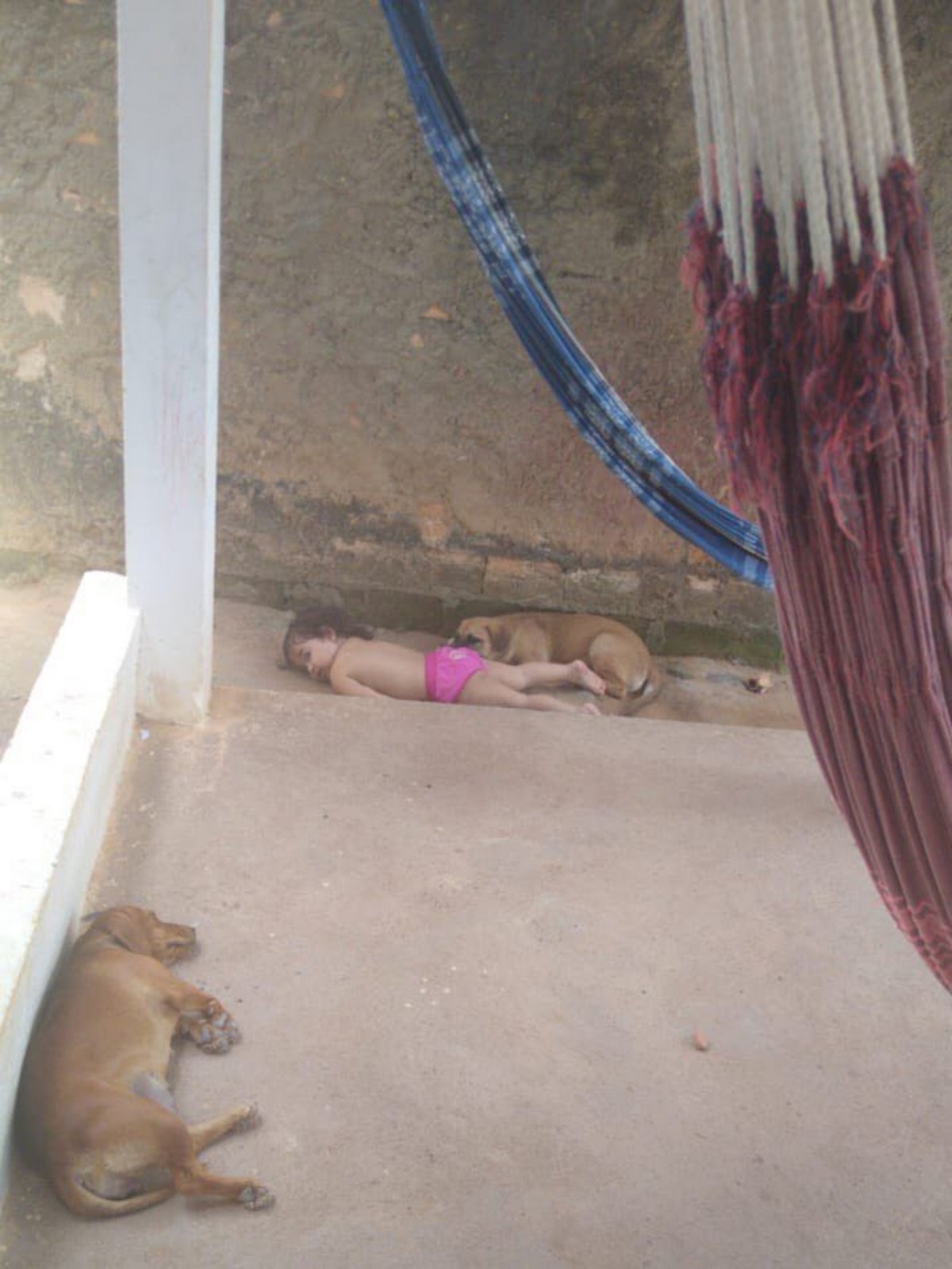 Des parents trouvent leur fille faisant la sieste dehors avec ses chiens