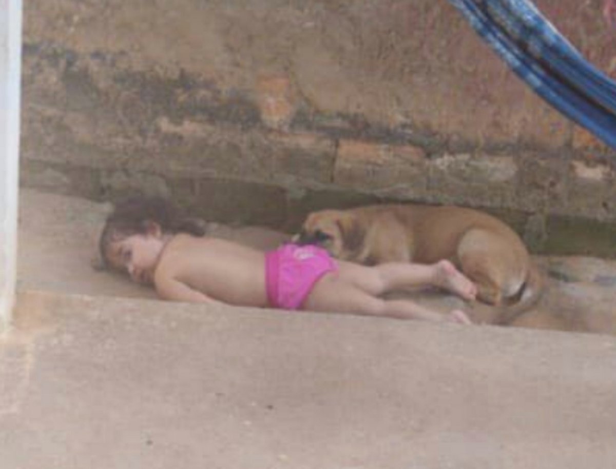 Des parents trouvent leur fille faisant la sieste dehors avec ses chiens