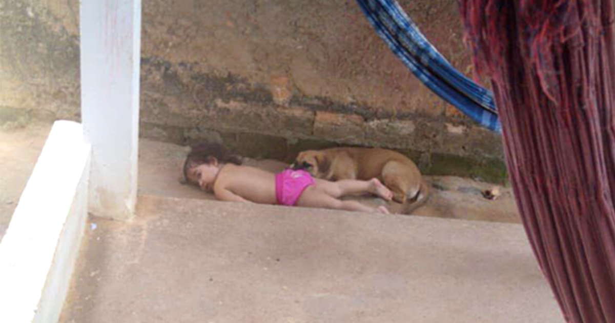 Des parents trouvent leur fille faisant la sieste dehors avec ses chiens