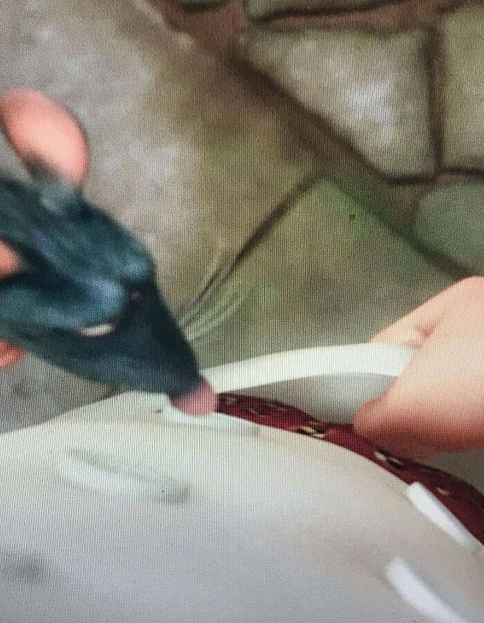 22 détails cachés que seuls des gens très attentifs ont remarqués dans Ratatouille