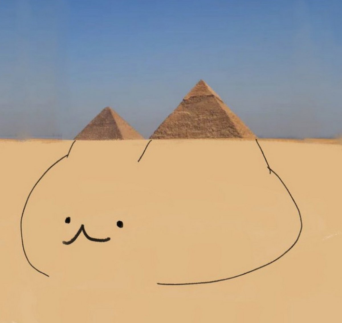 Ces blagues sur les chats ont été créées par des gens qui vivent assurément avec un minou