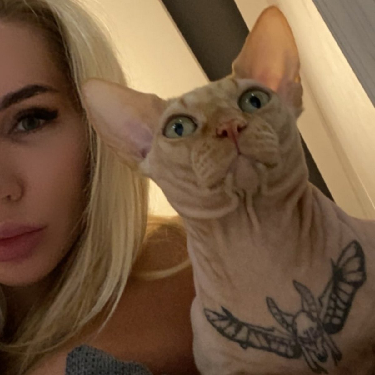 Cette Femme A Tatoue Son Chat Et Les Gens Viennent Juste De Decouvrir Qui Elle Est Ipnoze Cette Femme A Tatoue Son Chat Et Les Gens Viennent Juste De Decouvrir Qui Elle Est Ipnoze