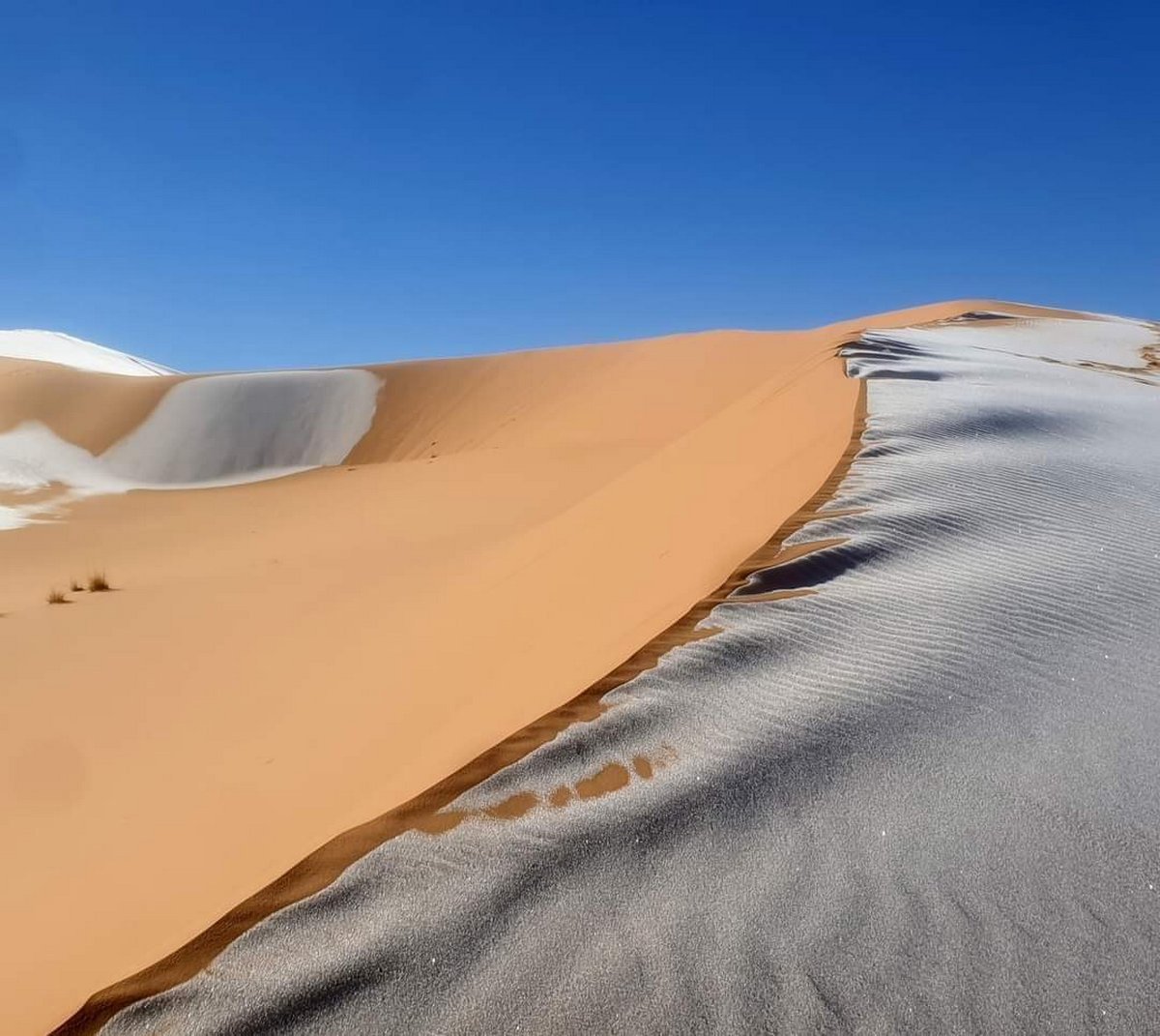 Des flocons de neige sont tombés sur le désert du Sahara et les photos sont à couper le souffle