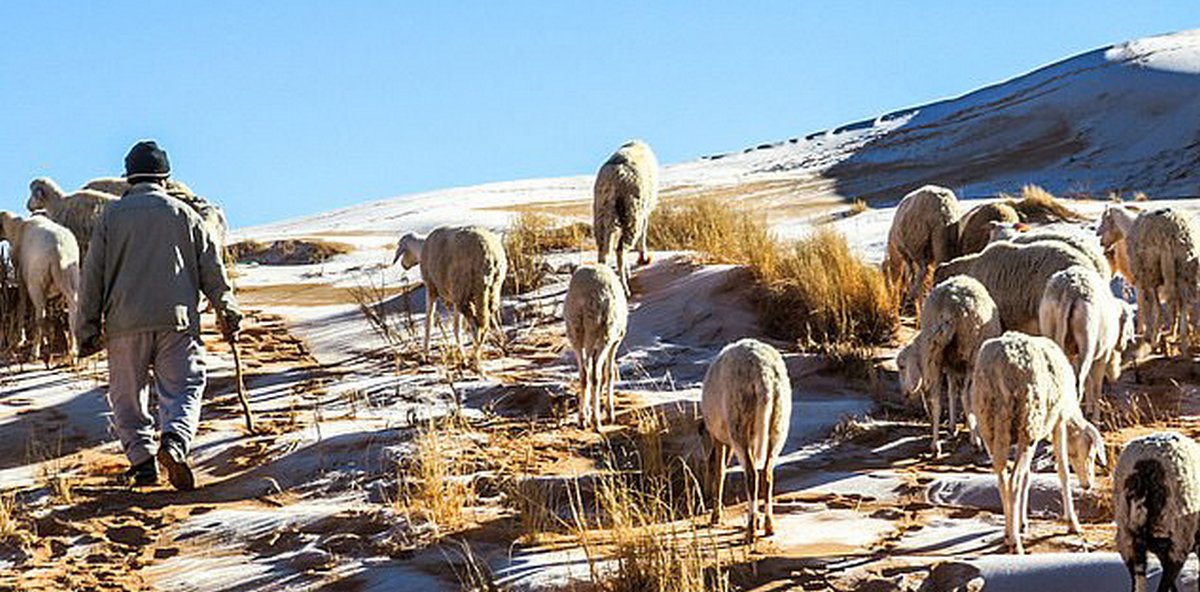 Des flocons de neige sont tombés sur le désert du Sahara et les photos sont à couper le souffle