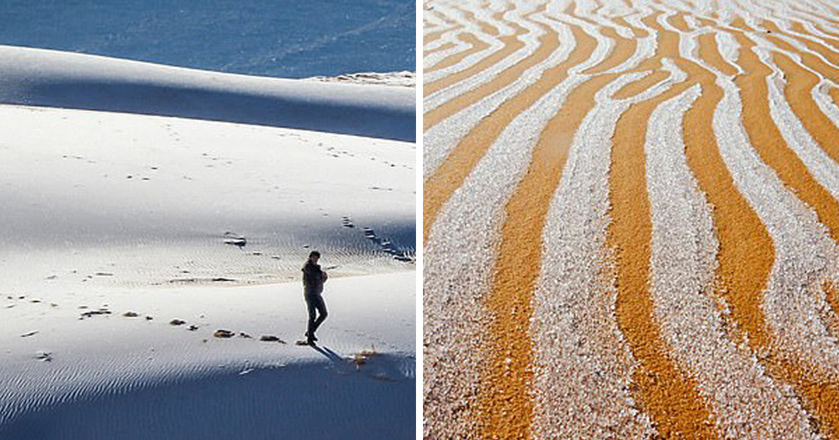 Des flocons de neige sont tombés sur le désert du Sahara et les photos sont à couper le souffle