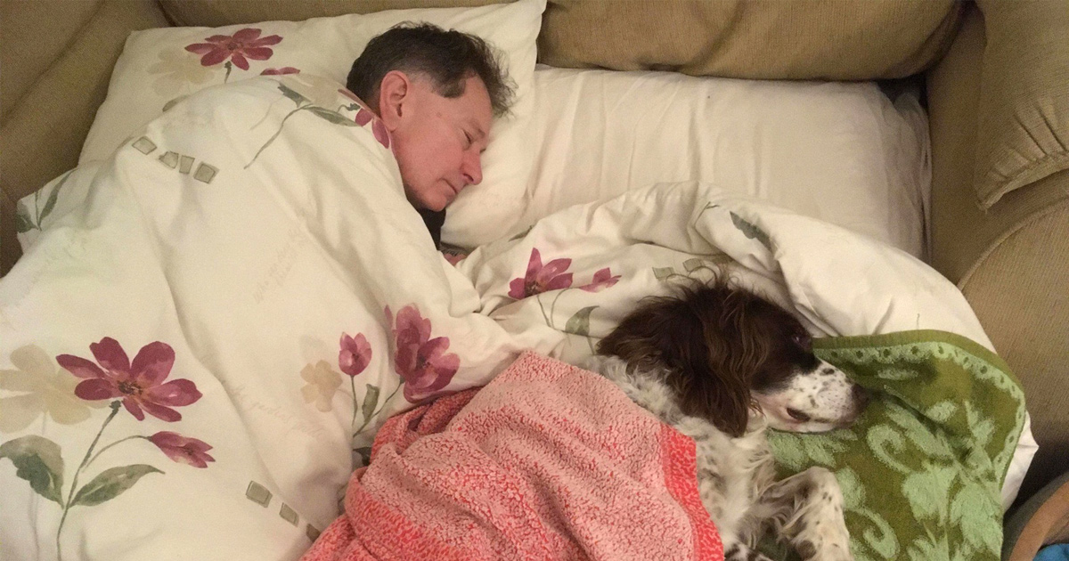 Ce papa dort en bas sur le canapé avec son chien âgé pour lui tenir compagnie