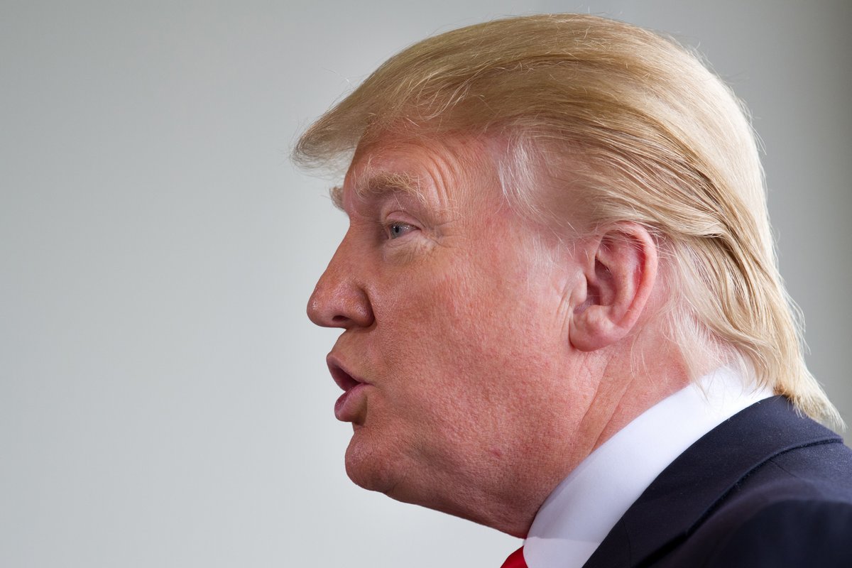 Un requin qui ressemble à Donald Trump aperçu en Floride