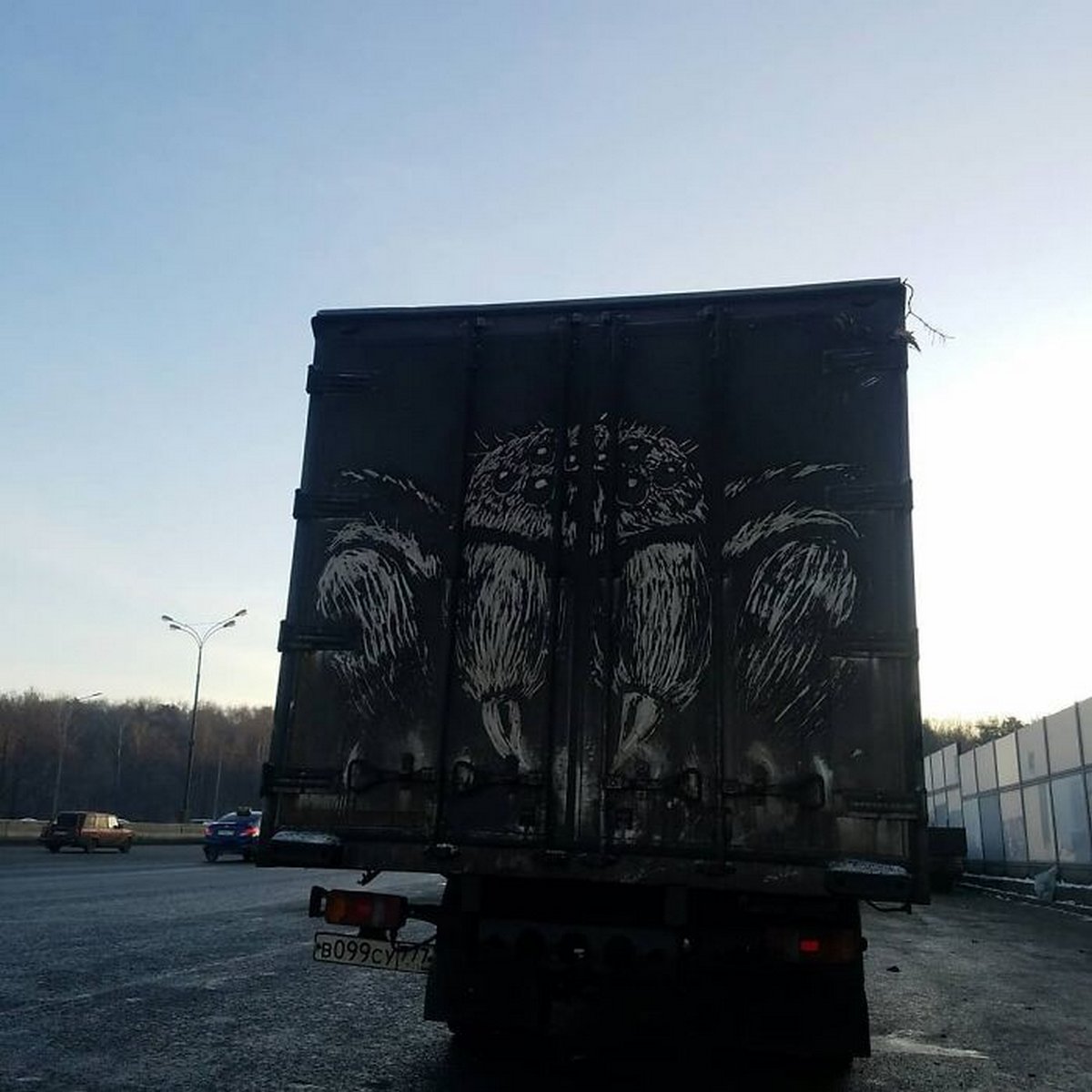 Des propriétaires de camions sales trouvent des dessins incroyables sur leurs véhicules créés par cet artiste