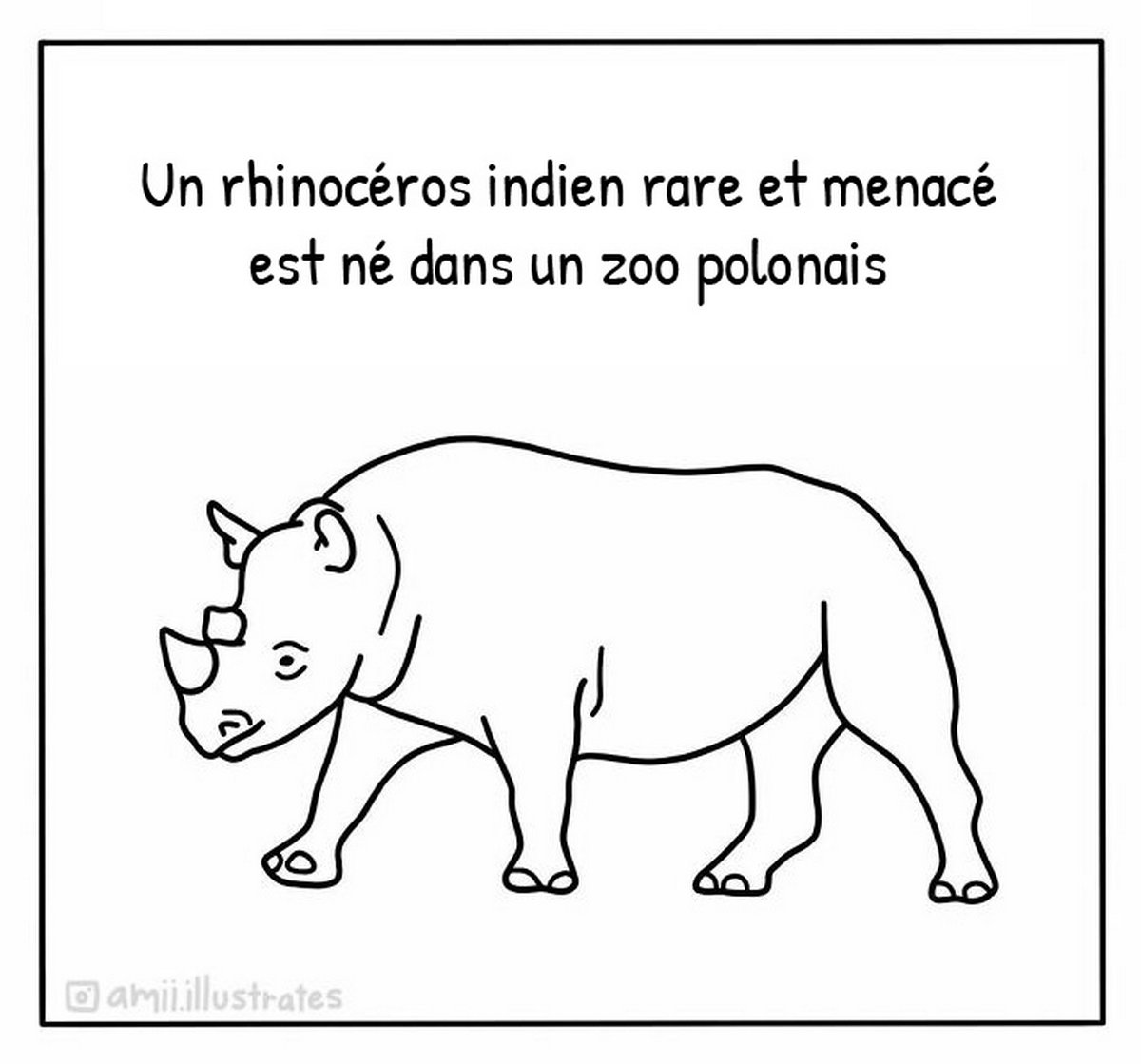 Cette artiste illustre les bonnes nouvelles et voici les 15 meilleures actualités de la semaine