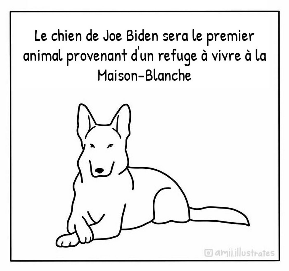 Cette artiste illustre les bonnes nouvelles et voici les 15 meilleures actualités de la semaine