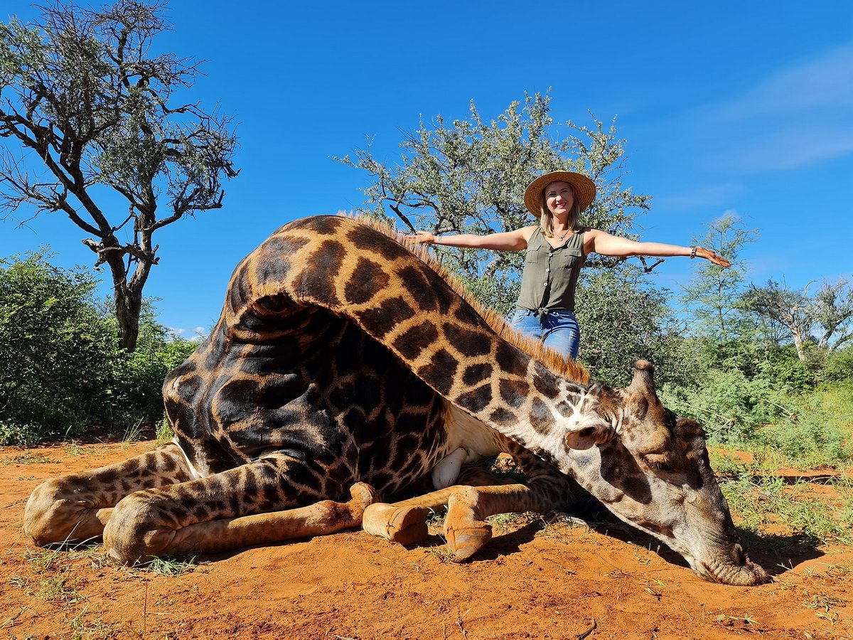 Cette chasseuse de trophées se défend d’avoir dépensé 1 700 € pour tirer sur une girafe et poser avec son coeur