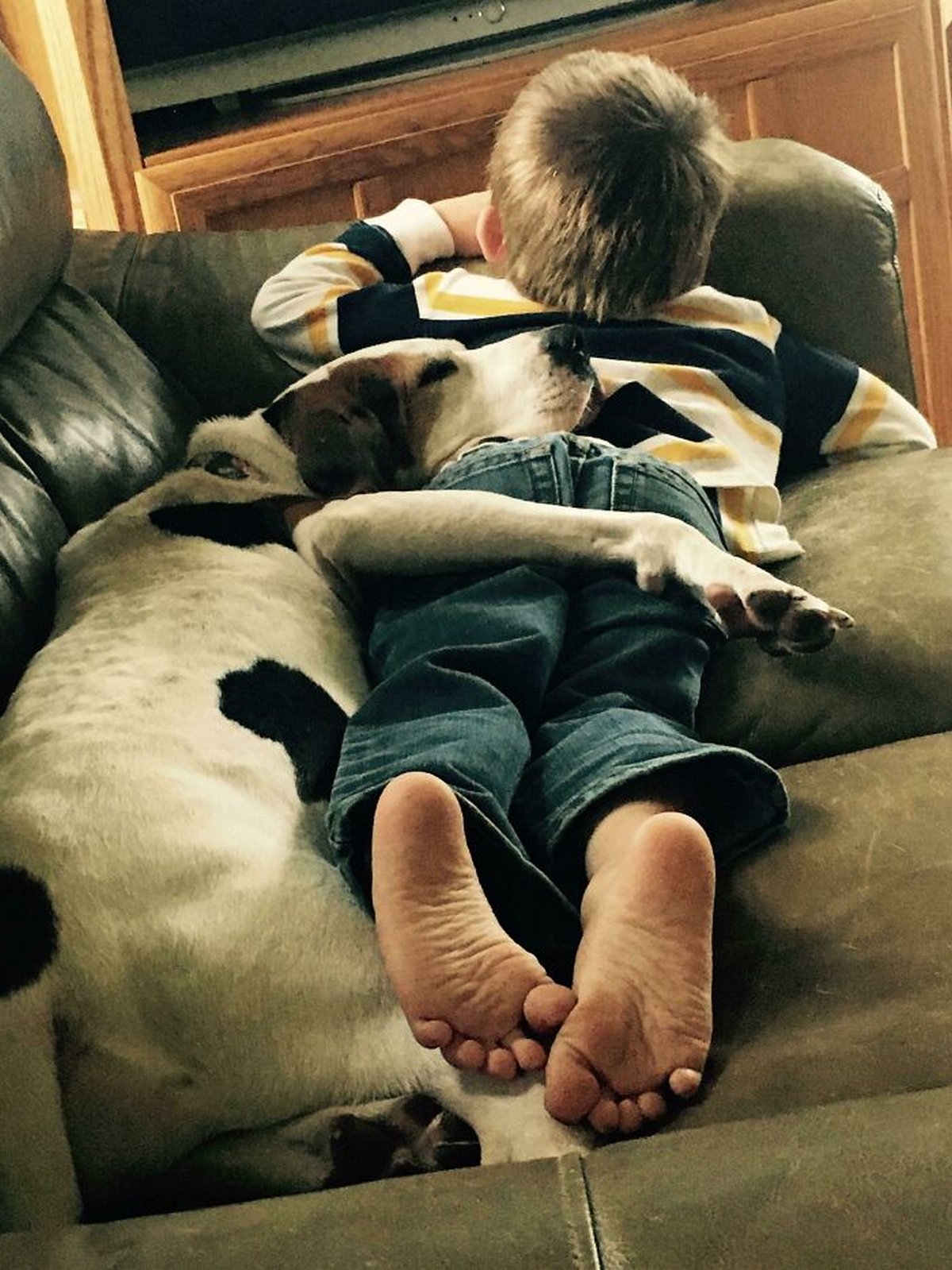 Si tu penses que tes enfants n’ont pas besoin d’un chien après avoir vu ces images, tu dois être un chat