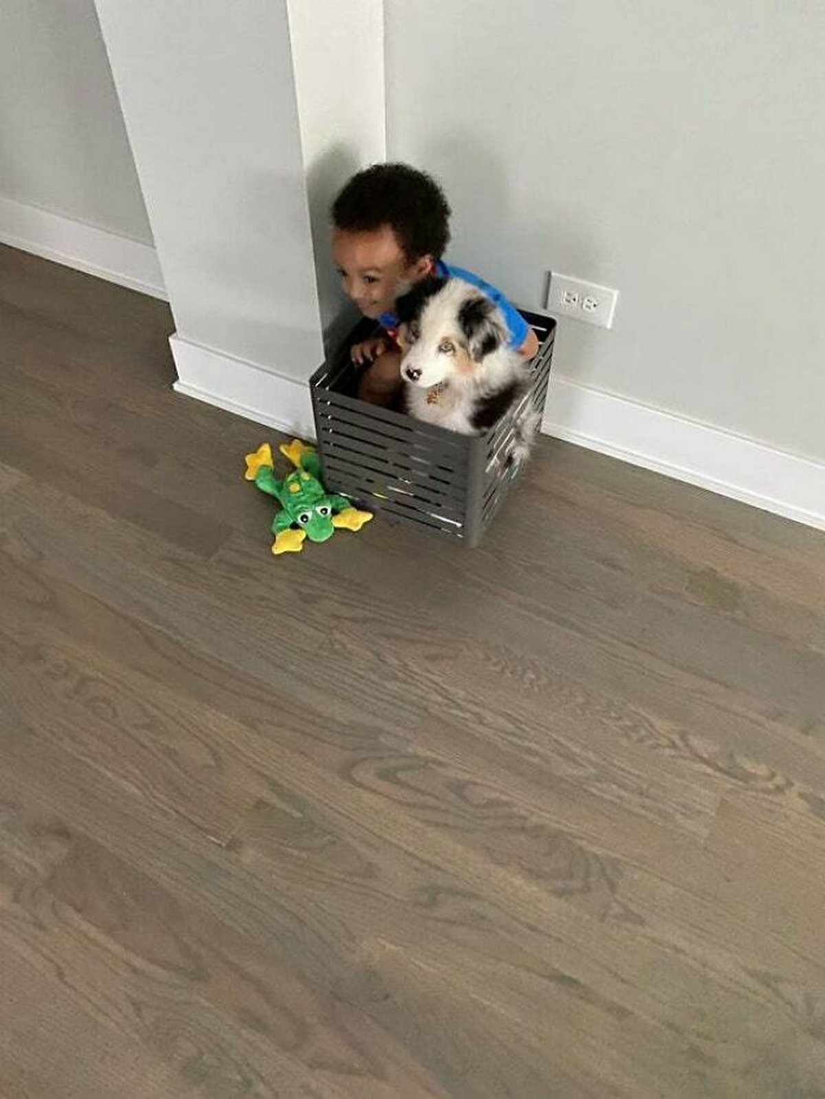 Si tu penses que tes enfants n’ont pas besoin d’un chien après avoir vu ces images, tu dois être un chat