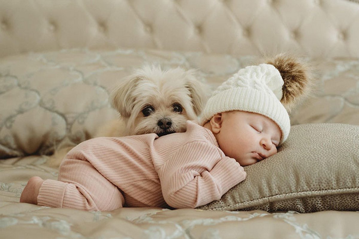 Si tu penses que tes enfants n’ont pas besoin d’un chien après avoir vu ces images, tu dois être un chat