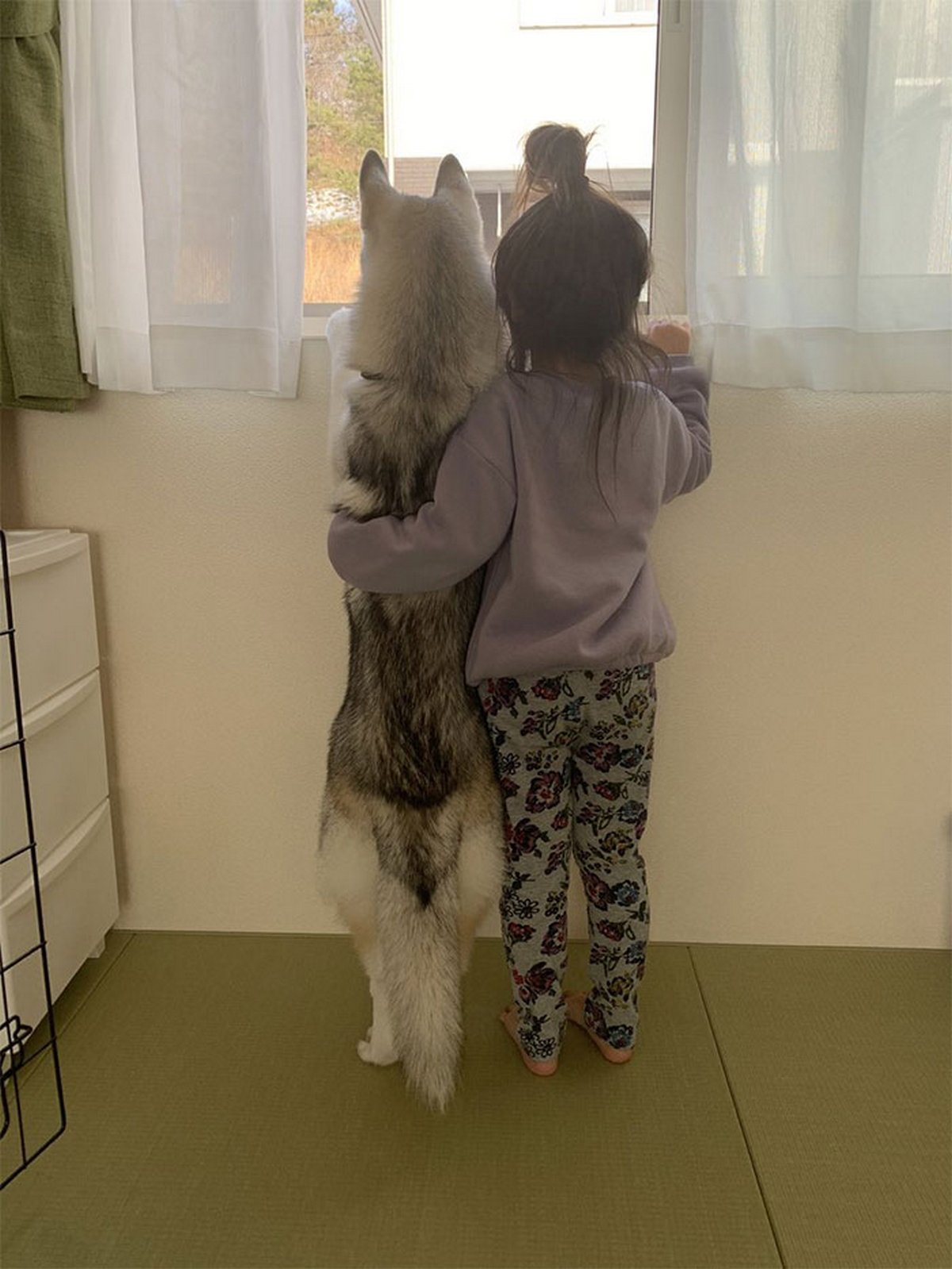Si tu penses que tes enfants n’ont pas besoin d’un chien après avoir vu ces images, tu dois être un chat
