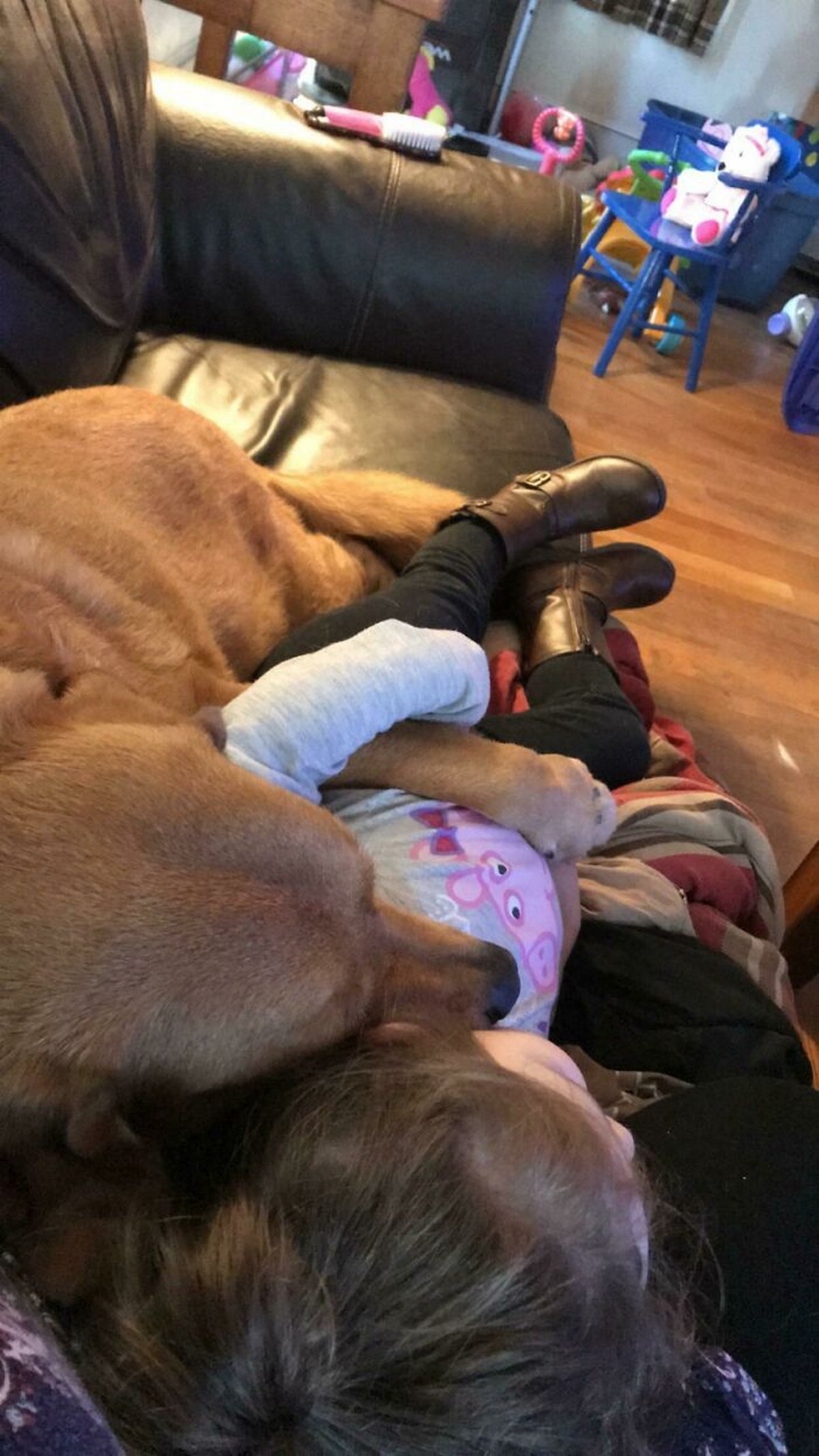 Si tu penses que tes enfants n’ont pas besoin d’un chien après avoir vu ces images, tu dois être un chat