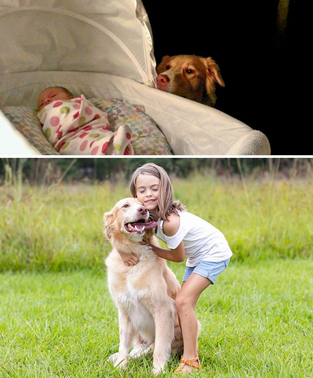 Si tu penses que tes enfants n’ont pas besoin d’un chien après avoir vu ces images, tu dois être un chat