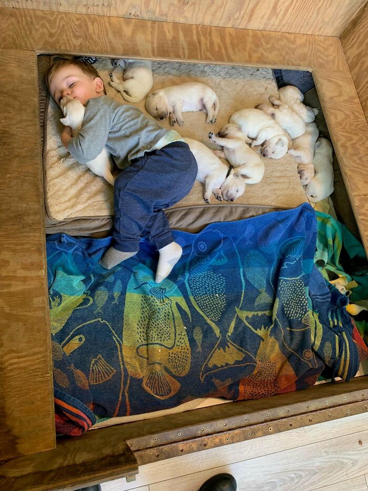 Si tu penses que tes enfants n’ont pas besoin d’un chien après avoir vu ces images, tu dois être un chat