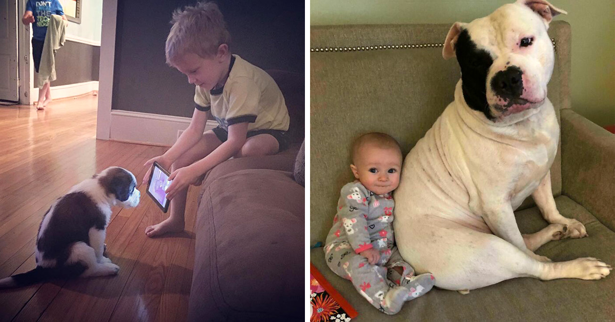 Si tu penses que tes enfants n’ont pas besoin d’un chien après avoir vu ces images, tu dois être un chat