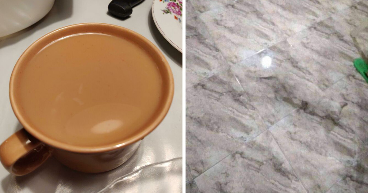 Dans ce groupe en ligne, les gens partagent des camouflages accidentels et voici les meilleures images
